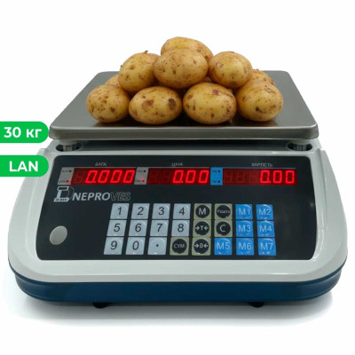Ваги торгові Днепровес ВТД-РД1-Е на 30 кг Ethernet