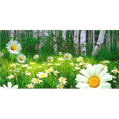 Вітаємо із Днем Святої Трійці!