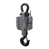 Весы крановые Certus CT-P, с пультом, до 5 т Весы крановые Certus CT-P, с пультом, до 5 т