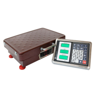 Весы товарные беспроводные ПРОМ-200 с Wi-Fi до 200 кг